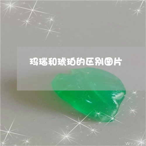 玛瑙和琥珀的区别图片/2023021523068 玛瑙和琥珀的区别图片/2023021523068