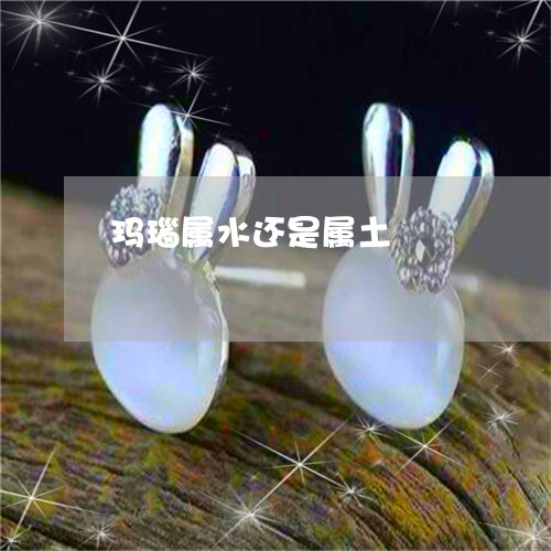 玛瑙属水还是属土/2023031737169 玛瑙属水还是属土/2023031737169