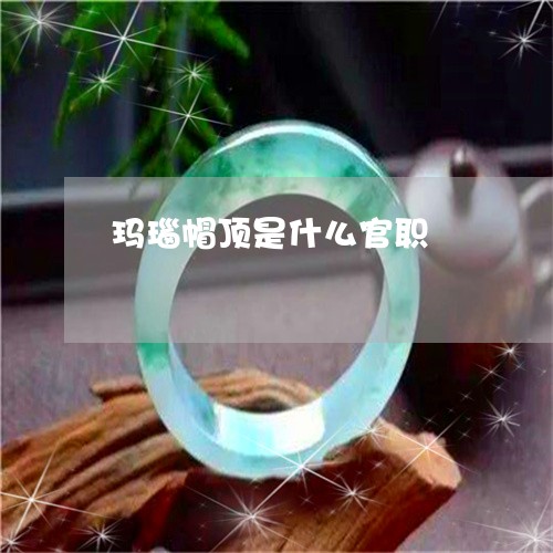 玛瑙帽顶是什么官职/2023041375739