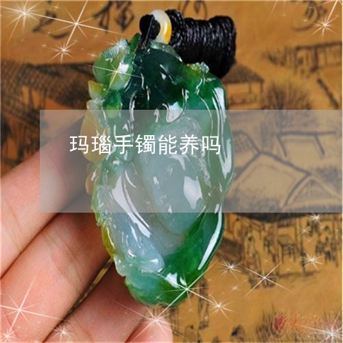 玛瑙手镯能养吗/2023033060371