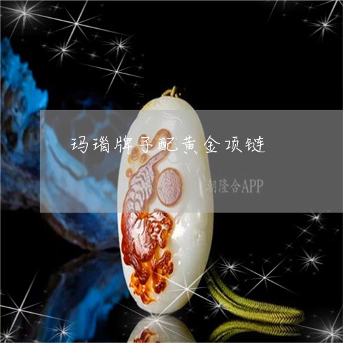 玛瑙牌子配黄金项链/2023041350372