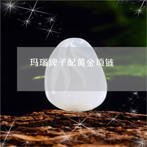玛瑙牌子配黄金项链/2023041352836