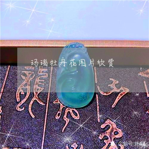 玛瑙牡丹花图片欣赏/2023041370471