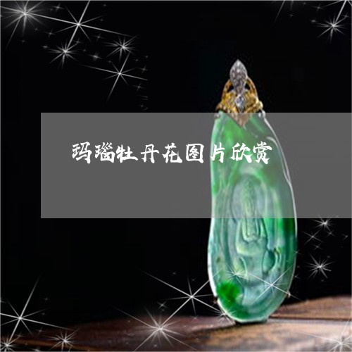 玛瑙牡丹花图片欣赏/2023041374848