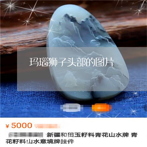 玛瑙狮子头部的图片/2023041306959