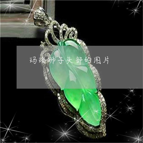 玛瑙狮子头部的图片/2023041327161