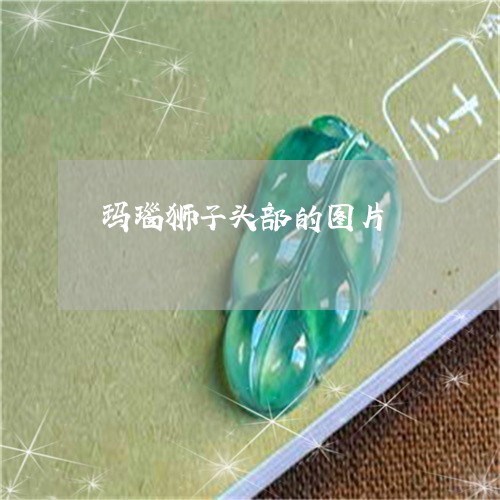玛瑙狮子头部的图片/2023041382513