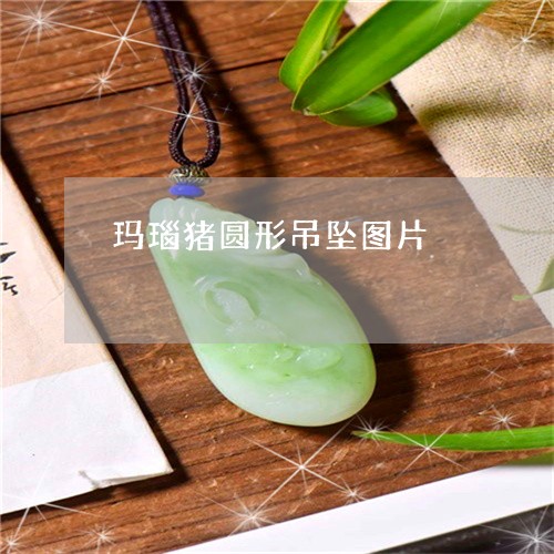 玛瑙猪圆形吊坠图片/2023041338059