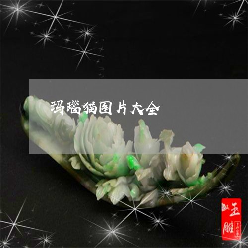 玛瑙猫图片大全/2023033004017 玛瑙猫图片大全/2023033004017