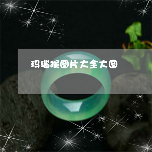 玛瑙猴图片大全大图/2023041395935