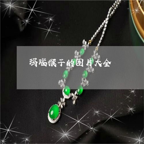 玛瑙猴子的图片大全/2023041350505