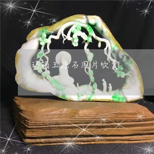 玛瑙玉原石图片欣赏/2023041346248