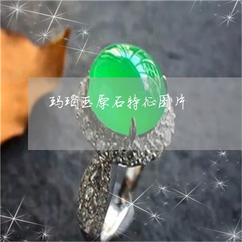 玛瑙玉原石特征图片/2023041363594