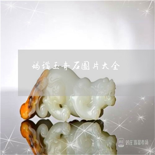 玛瑙玉奇石图片大全/2023041375616