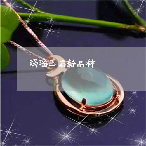 玛瑙玉石新品种/2023033043724 玛瑙玉石新品种/2023033043724