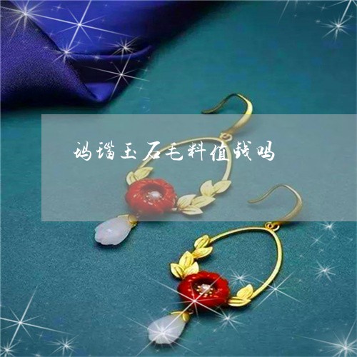 玛瑙玉石毛料值钱吗/2023041398068