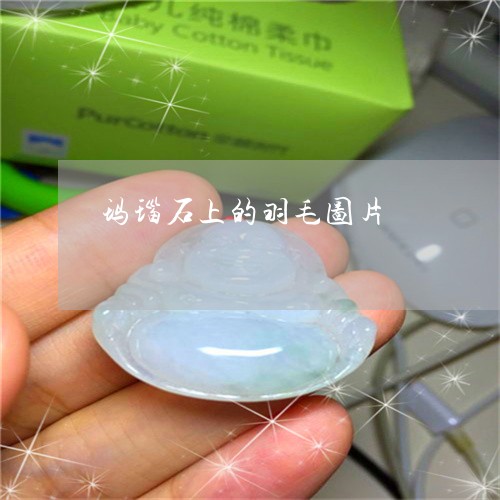 玛瑙石上的羽毛图片/2023041395049