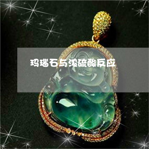 玛瑙石与浓硫酸反应/2023041373715
