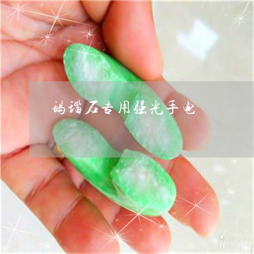 玛瑙石专用强光手电/2023041396938