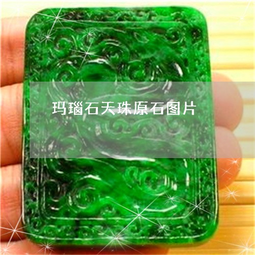 玛瑙石天珠原石图片/2023041398148
