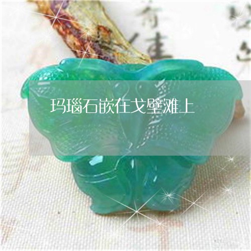 玛瑙石嵌在戈壁滩上/2023041309270