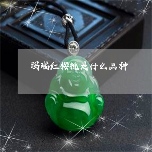 玛瑙红樱桃是什么品种/2023021545352 玛瑙红樱桃是什么品种/2023021545352