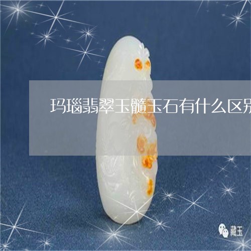 玛瑙翡翠玉髓玉石有什么区别呢/2023071226059