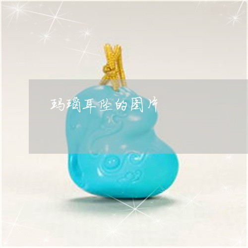 玛瑙耳坠的图片/2023033062603 玛瑙耳坠的图片/2023033062603