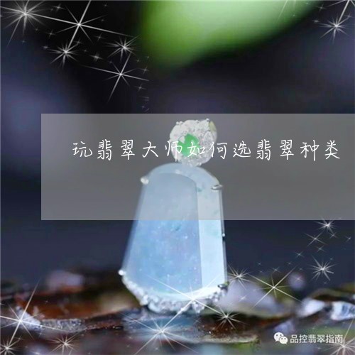 玩翡翠大师如何选翡翠种类/2023062804937