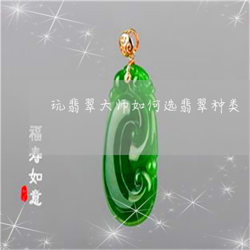 玩翡翠大师如何选翡翠种类/2023062876050