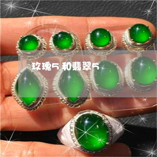 玫瑰5和翡翠5/2023033050585 玫瑰5和翡翠5/2023033050585