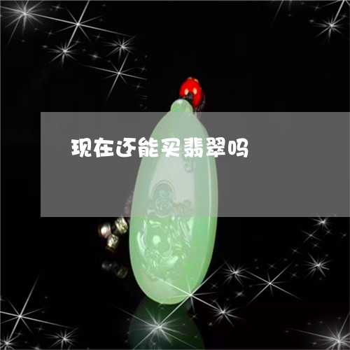现在还能买翡翠吗/2023031526060