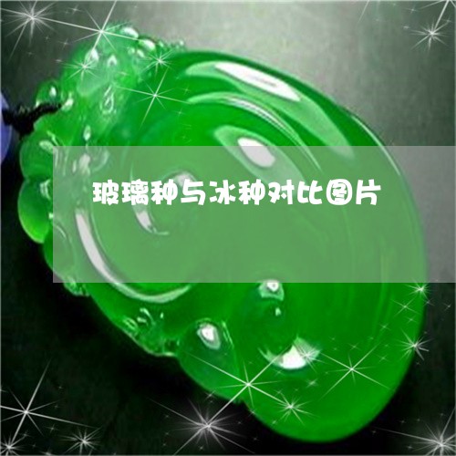 玻璃种与冰种对比图片/2023021657582
