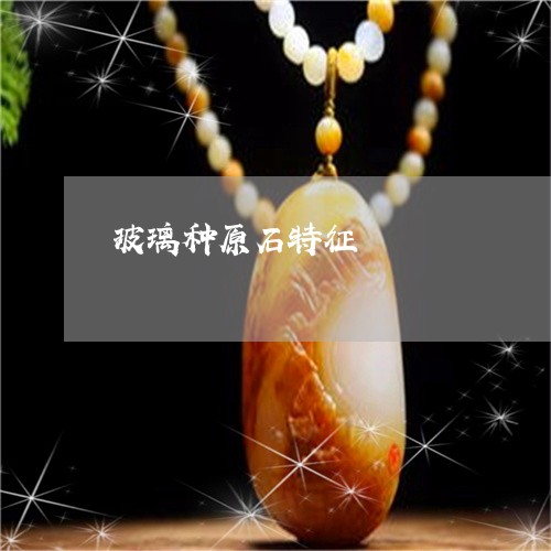 玻璃种原石特征/2023033085049