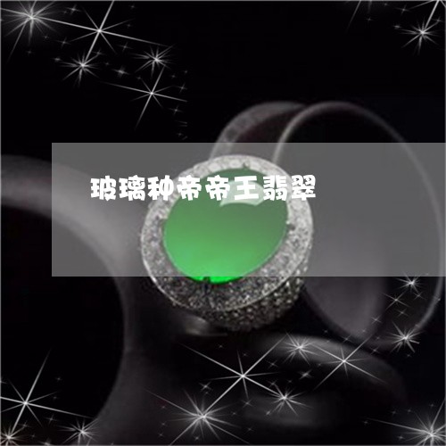 玻璃种帝帝王翡翠/2023031526159 玻璃种帝帝王翡翠/2023031526159