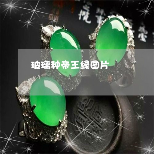 玻璃种帝王绿图片/2023031597271 玻璃种帝王绿图片/2023031597271