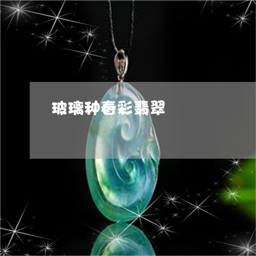 玻璃种春彩翡翠/2023033038360 玻璃种春彩翡翠/2023033038360