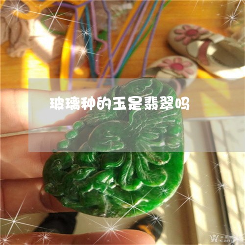 玻璃种的玉是翡翠吗/2023041365706