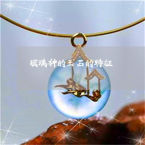 玻璃种的玉石的特征/2023041352603 玻璃种的玉石的特征/2023041352603