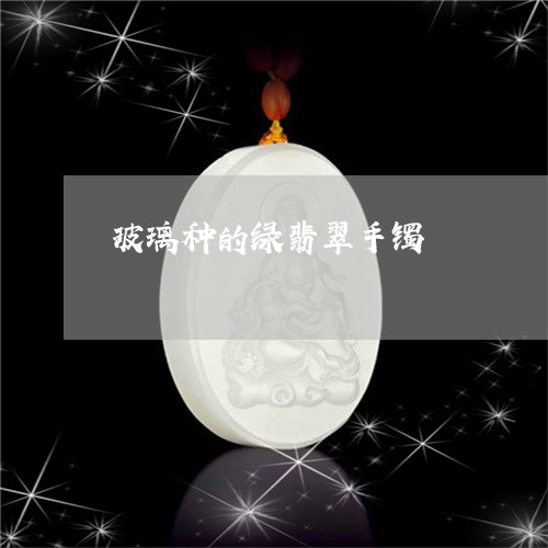 玻璃种的绿翡翠手镯/2023041328475 玻璃种的绿翡翠手镯/2023041328475