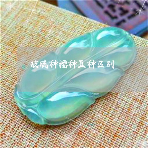 玻璃种糯种豆种区别/2023041338593