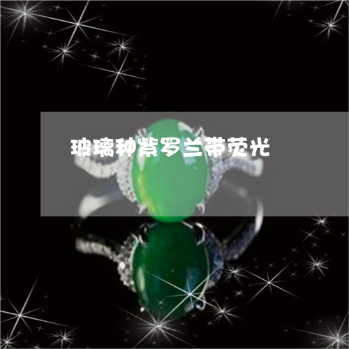 玻璃种紫罗兰带荧光/2023041328269