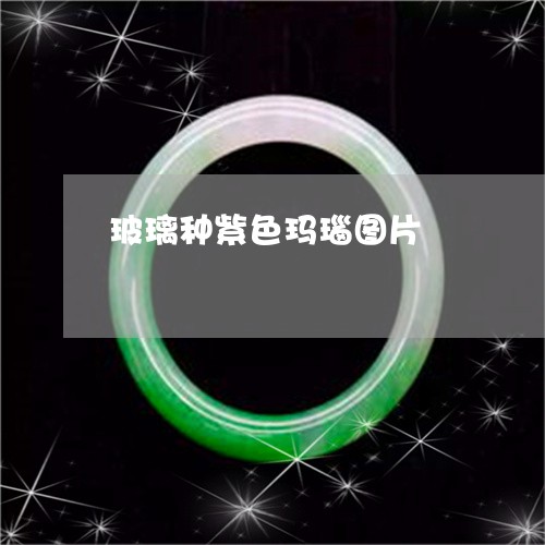 玻璃种紫色玛瑙图片/2023041346171