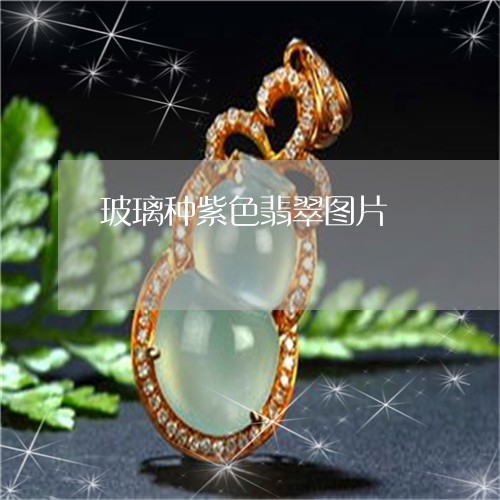玻璃种紫色翡翠图片/2023041305957
