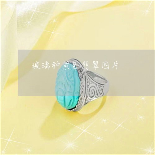 玻璃种紫色翡翠图片/2023041388037