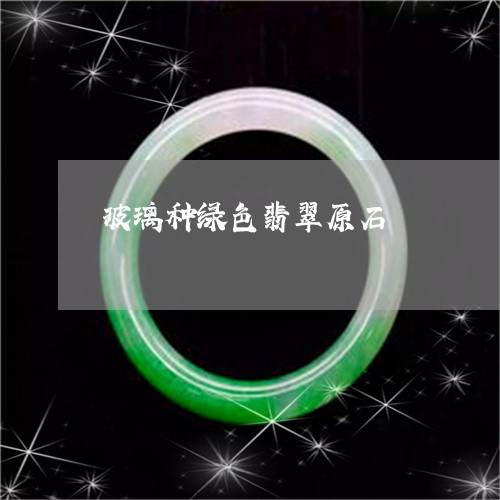玻璃种绿色翡翠原石/2023041329516 玻璃种绿色翡翠原石/2023041329516