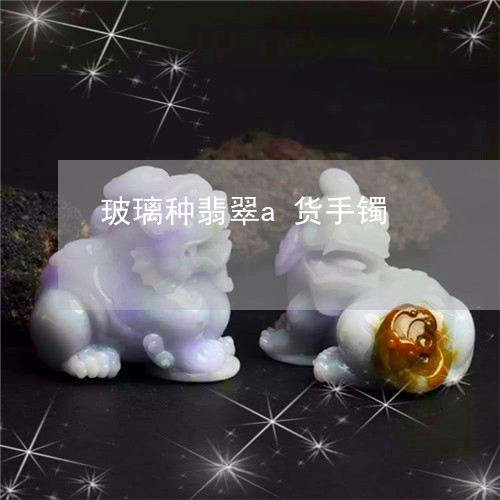 玻璃种翡翠a货手镯/2023041396168