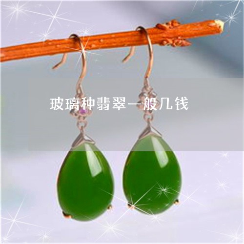 玻璃种翡翠一般几钱/2023041361525