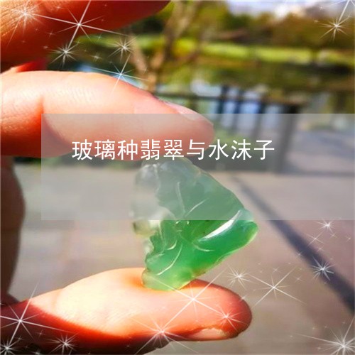 玻璃种翡翠与水沫子/2023041365040