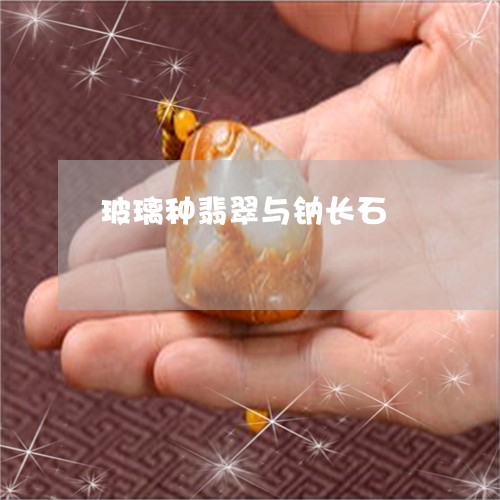 玻璃种翡翠与钠长石/2023041377159